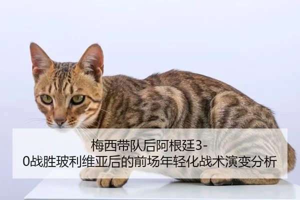 mei-xi-dai-dui-hou-a-gen-ting-zhan-sheng-bo-li-wei-ya-hou-de-qian-chang-nian-qing-hua-zhan-shu-yan-bian-fen-xi-2-268.jpg